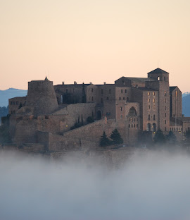 SORTIDA AL CASTELL DE CARDONA - 2 ESO