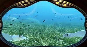 SORTIDA A SITGES - 1 ESO